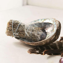 Load image into Gallery viewer, Abalone Shell