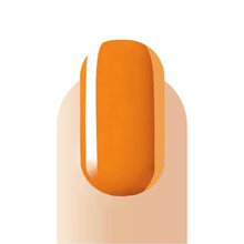 Load image into Gallery viewer, Gel Polish B13